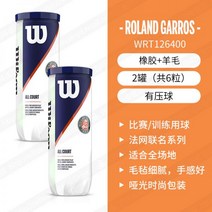 윌슨테니스공 볼 STANDARD 테니스공 듀티 시합용 윌슨 챔피언쉽 투어 스탠다드 WILSON, 07