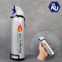 국산 휴대용 소형 소화기 255ml K급, 1개