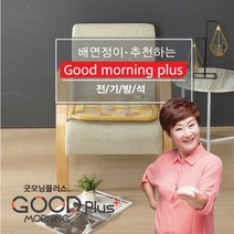 굿모닝플러스 세라믹 전기 방석 450X450mm 실리콘 열선 전자파 없는 전기매트 한일의료기