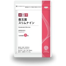 서플리먼트 주식회사 산세리테 삿포로 좋은 박테리아 슬림 나인 [9 종의 살아있는 좋은 박테리아] 비피더, ONE SIZE_One Color, One Size_One Color, 상세 설명 참조0