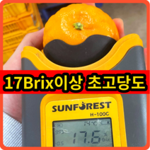 수라향 신비향 설국향 제주직송 17브릭스 초고당도 신품종 가정용5kg, 1개