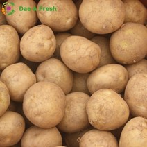포슬포슬 고소한 대아 햇감자, 대 3kg (다용도 요리&찜용)
