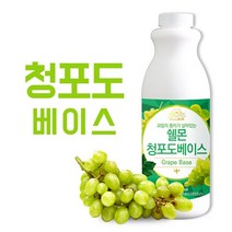 쉘몬 과일농축액 청포도베이스 1kg, 5개