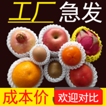 과일 완충재 배 옷 뽁뽁이 사과 과일 그리드 스티로폼 포장패드 감귤, 흰색 + 두께6X5약1010개