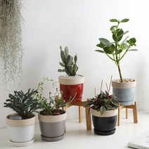 [바보사랑] 칼라 도토리 인테리어 화분 (소), 색상:블랙