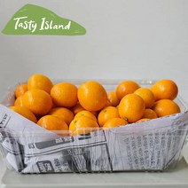 [우체국쇼핑] [테이스티-오픈특가]제주 금귤 낑깡 5kg 대과, 상세 설명 참조