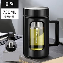 휴대용 대용량 녹차 꽃차 잎차 거름망 물통 티보틀, 4_블랙 750ML [큰 차분리망]