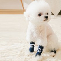 런웨이멍멍 강아지 발토시 당일발송 댕댕이 슬개골보호 보온 토시, 하양