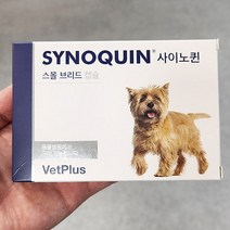 사이노퀸 스몰브리드캡슐 관절 30캡슐 x 1개, 단품, 단품