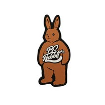비에스래빗 2223 BSRABBIT BIG BEAR RABBIT LOGO STOMP PAD BROWN 스톰패드