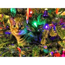 타워팰리스 고양이섬 크리스마스 트리 고양이 인쇄 11CT 크로스 스티치 DIY 자수 키트 DMC 스레드 공예 수공예품 수제 뜨개질 성인, HMA56266_80x100cm | 11CT Silk