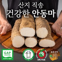 태산농장 참마 실속특가 못난이 파지마, 1box, 06_장마 파지 5kg