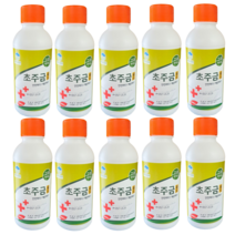 초주금 골드 10개 500ml