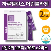 건강기능식품 식약청 인증 3세대 먹는 어린 생선비늘 이너 저분자 피쉬 콜라겐 가루 500 달톤 엘라스틴 비타민c 히알루론산 밀크세라마이드, 2박스