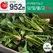 <해돋이농산> 명품 남해 시금치 남해초 노지시금치 1kg 2kg 4kg 10kg, 남해시금치4kg