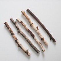 천연 소독처리된 자작나무 나뭇 가지 벽트리 라탄 마크라메 소품 diy 재료 20cm 30cm, 두꺼운타입