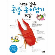 진짜 같은 곤충 종이접기 - 이타미시 곤충관, 단품, 단품