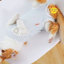 이파인스토리 중성화 수술복 올인원애견의류 중성화의류 W784A7C 강아지 중성화복 스프라이트 환견옷 넥카라대용 그루밍방지 환묘옷 고양이 중성화옷 치아 관리, 폴S마트XL