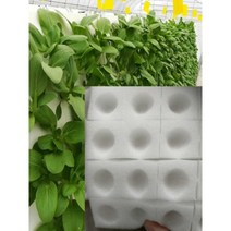 그로우폼 새싹 야채 심기 구멍 수경 수경재배 삽목용, 250x250x25mm블랙크로스