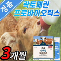 유산균 프로바이오스틱 3개월 초유 단백질 분말 스틱 락토 바시러스 람노서스 lgg 엘지지 엘쥐쥐 가새리 가루