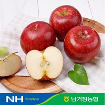 산지직송 (남거창농협)아삭아삭 달콤 꿀 사과 5kg(중대과)17-20과 내외, 단품없음