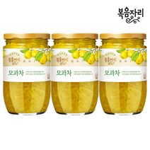 복음자리 모과차 480g x3개