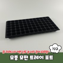 육묘 씨앗 새싹키우기 모종판 씨앗 발아 포트 72구