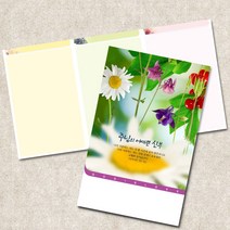 주보용지 3단 주보 교회 예배 주보인쇄 기성 디자인 칼라 청년부 주보 제작 기독교용품, EW-47