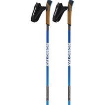 Salomon 폴 카본 SMax Clck