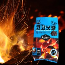 야자수 코코넛 숯 2kg 바베큐숯 참숯 겨울 캠핑