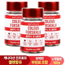 건조효모 콜레우스 포스콜리 결정판 60정 셀레늄 판토텐산 칼슘, 3개