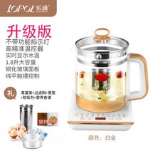 전기약탕기 중탕기 가정용 주전자 유리 건강 한약 달임기 홍삼제조기, 02.플래티넘 + 필터