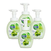 데톨 항균 포밍 핸드워시 애플 블로썸 용기*4개, 4개, 250ml