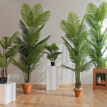 진짜 살아있는 느낌 고급 아레카야자 식물 조화, 60cm, 1개