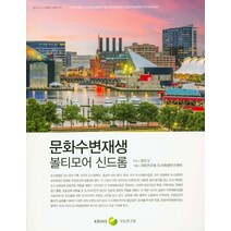 문화수변재생 볼티모어 신드롬, 국토연구원