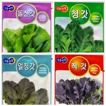 갓씨앗2.000립 청갓 적갓 얼청갓 돌산갓, 적갓20g
