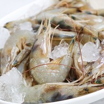 자연산 서해안 중하새우 급냉 꼬마새우 캠핑용, 해식몽 중하새우 500g