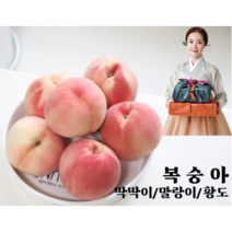 의성 맛있는 고당도 황도 백도 딱딱이 말랑이 부드러운 복숭아4kg, 9~10과@