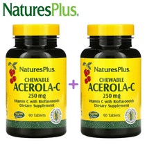 (1+1) 네이처스플러스 씹어먹는 비타민C 츄어블 아세로라C 루틴 로즈힙 250mg 90정 2팩, 2개