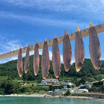 대아씨푸드 여수 국산 서대 박대 반건조 생선 큰사이즈, 서대 특대 5미(국산))