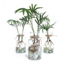 화분월드 천연 인테리어 자갈 모래 1.5KG, 옥자갈3호(1.5kg)