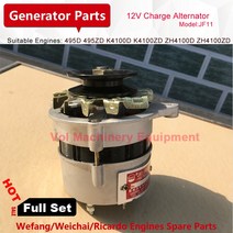 소형엔진 중국 디젤 엔진 495D 배터리 충전 발전기 20kw/30kw/40kw 12V 소형 풀 세트 부품, 한개옵션0