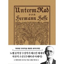 수래바퀴아래서(초판본미니북)(1906년오리지널초판본표지디자인), 헤르만헤세, 더스토리