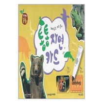 통통 자연카드 (62장) / 한국차일드아카데미책 | 빠른배송| 사은품 | 비닐포장 전1권, 비포 안함