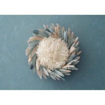 포토존 사진 배경 어린이 생일 아기 백일 테마 스튜디오 소품 강아지포토존, Seamless 60cmx40cm+24