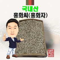 국내산 홍화씨(홍화자) 500g/300g/100g (경북 영천) 국산, 300g
