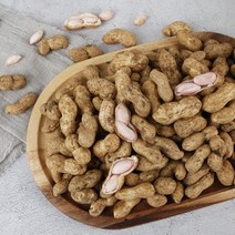건강의정석 국산 햇땅콩 생땅콩 삶아먹는 피땅콩 흙땅콩 껍질땅콩, 1박스, 5) 국내산 생땅콩 5kg