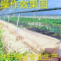 방조망 한냉사 한랭사 블루베리망 참새망 오이 호박 조류 농작물보호 넝쿨 농사용그물 농업 딸기 양면 환기구 포도 과수원 스카이넷 수박 온실구 차단새과수 망, 대담한 1.550 미터 양쪽을 통해 리드