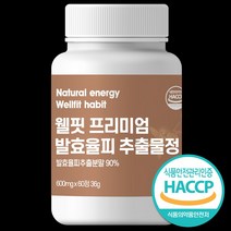 웰핏 발효율피 추출물 프리미엄정 600mg, 60정, 1박스