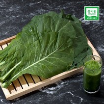 유기농 녹즙용 케일 1kg, 1
